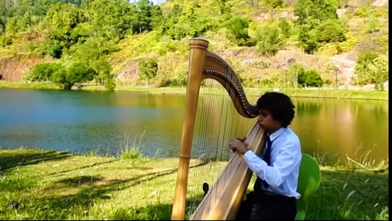 A Thousand Years - Harp - Wedding Songs for Bride Entrance