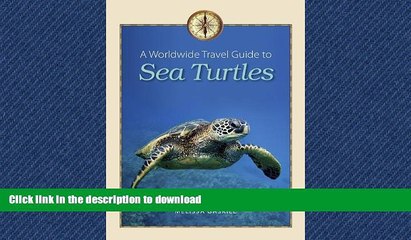 FAVORIT BOOK A Worldwide Travel Guide to Sea Turtles (Marine, Maritime, and Coastal Books,