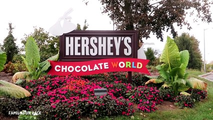 SNAKE AT OUR HOTEL! _ Mommy Monday-O0W1MQTXoUk