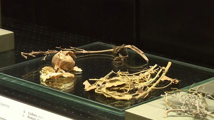 Lebanon's national museum reveals long-hidden treasures