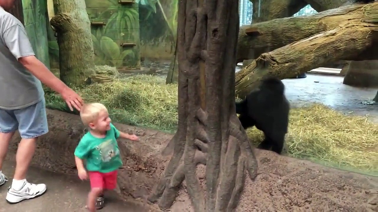 Un enfant et un bébé gorille jouent à cache cache