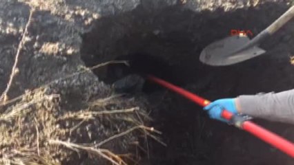 Diyarbakı Patlayıcılı Tuzak, Hazırlık Aşamasında Engellendi