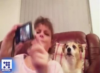 کتے بھی سیلفی لینے میں سب سے آگے