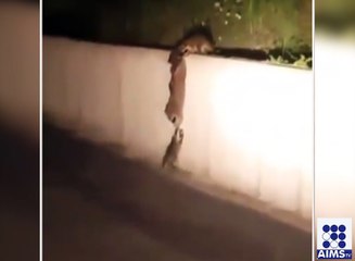 جان بچانے لئے ماں نے اپنی بچے کا ہاتھ تھاما