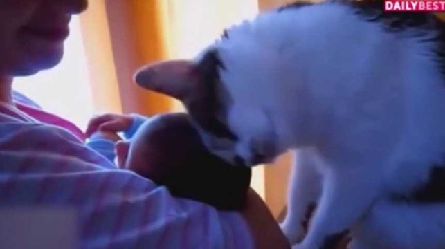 La minute tendre : Ces chats vont vous faire craquer