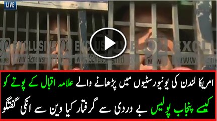Waleed Iqbal Arrested By Police From Outside Bani Gala
