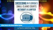 Big Deals  Succeeding In Florida s Small Claims Courts Without A Lawyer  Full Read Best Seller