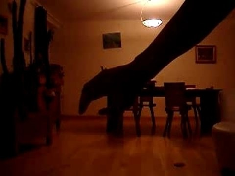 Tour de magie : Valet noir ou dame rouge ?