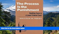 READ FULL  The Process is the Punishment: Handling Cases in a Lower Criminal Court  READ Ebook