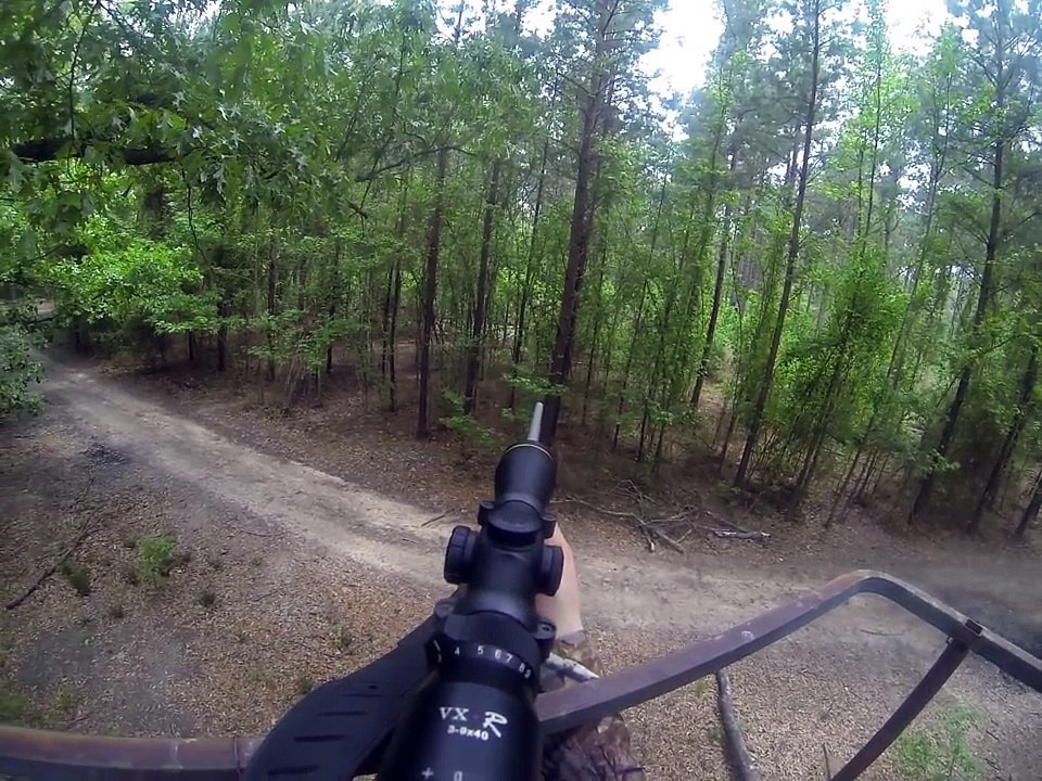 battues aux sangliers 2016