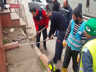 Tünelde doğum yapan köpek ve yavruları son anda kurtarıldı