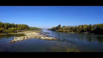 Boé (47) : les cormorans s'installent au seuil de Beauregard