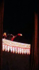 A puppet show performed in Lahore ‎