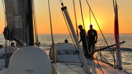 Dauphins pour la dernière sortie de Stéphane Le Diraison à J-7 du Vendée Globe !