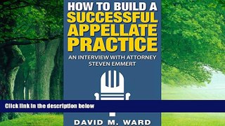 Big Deals  How to Build a Successful Appellate Practice: An Interview with Attorney Steven Emmert