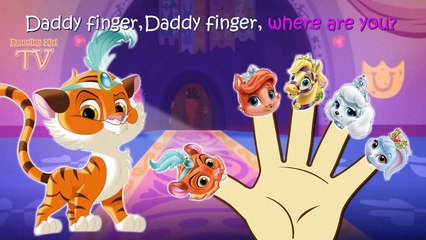 Whisker Haven Tales Finger Family / Nursery Rhymes