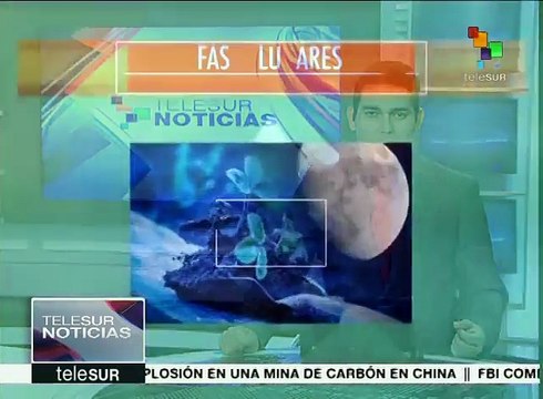 Descubren cómo afectan las fases lunares en el cultivo de plantas