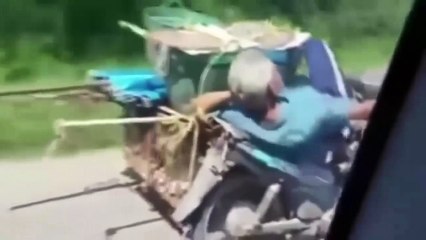 Si te ríes pierdes nivel dios, los vídeos mas graciosos del mundo mundial  4