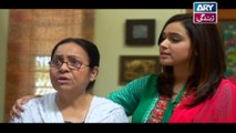 Babul Ki Duayen Leti Ja - Episode 06 on Ary Zindagi in High Quality - 1st November 2016