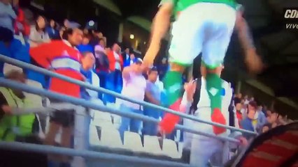 Quand un footballeur chilien fait une Cantona en frappant un supporter