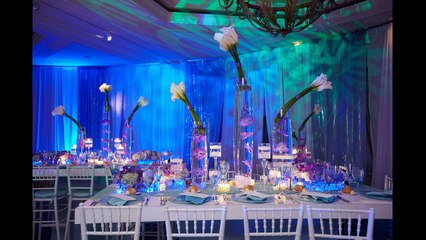 David Bar/Bat Mitzvahs - 2016