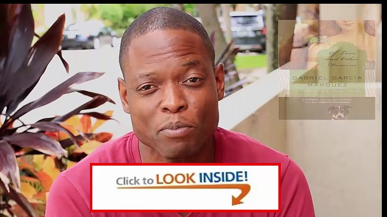 Look Inside Of Love and Other Demons (Vintage International) Review