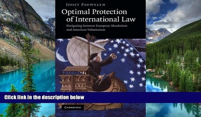 Must Have  Optimal Protection of International Law: Navigating between European Absolutism and