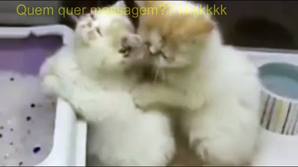 Carinho e respeito, é disso que o mundo precisa.....