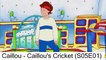 Caillou - Caillous Cricket (S05E01)