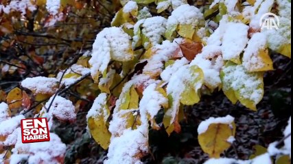 Abant beyaza büründü