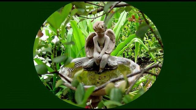 Los Angeles Bed and Breakfast | The Inn At 657