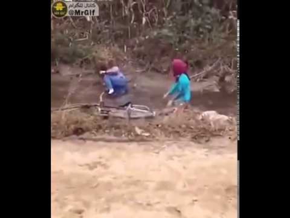 funny cupel