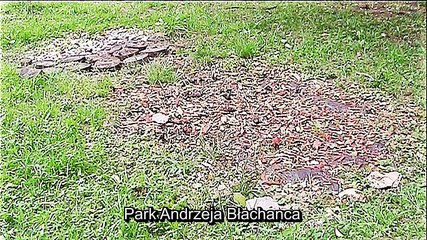 Auf großer Tour durch Zgorzelec