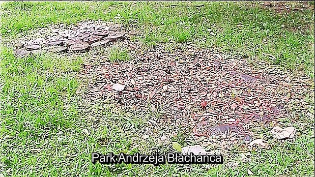 Auf großer Tour durch Zgorzelec