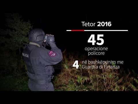 Aksioni antikanabis në shifra - Top Channel Albania - News - Lajme