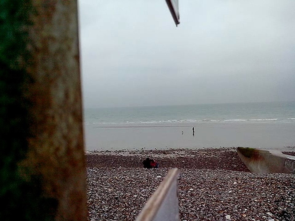 Ptomenade sur la grève à Pourville sur mer. 76