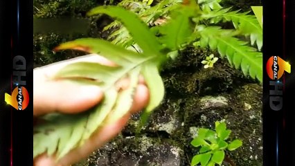 Realizan foro sobre cambio climatico en la zona norte