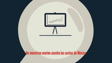 Un monstruo marino acecha las costas de México
