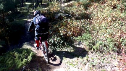 Wistler Cercedilla nov16