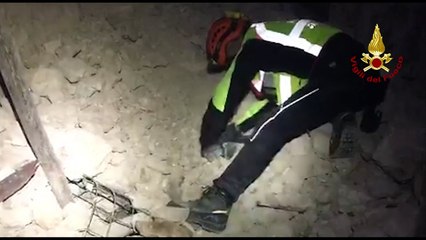 Download Video: Italian firefighters rescue dog from earthquake debris