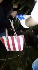 Sapanca Belediyesi köpekleri mi zehirledi?