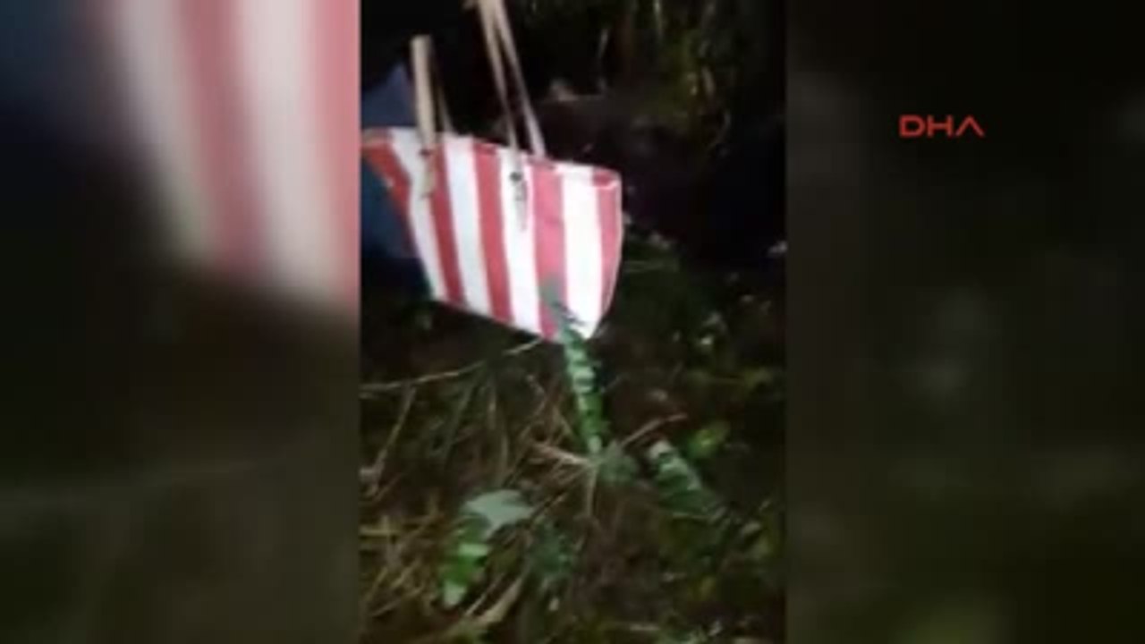 Sakarya - Sapanca Belediyesi'nin Hayvanları Zehirlediği Iddiasına Açıklama