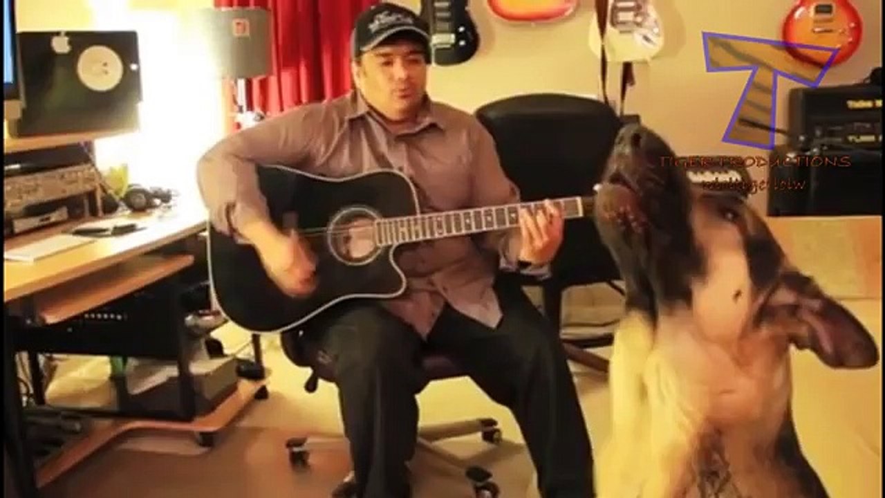 Animals making funny sounds and noises-komik sesler ve gürültü yapmaya Hayvanlar