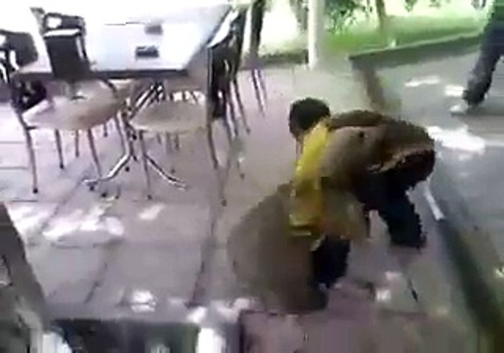 What a Fight of 2016