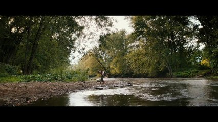 American Pastoral (2016)