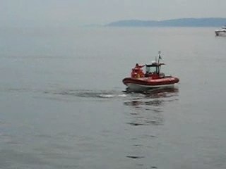 Le Saint Laurent et ses baleines