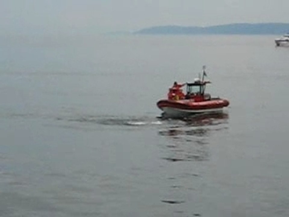 Le Saint Laurent et ses baleines