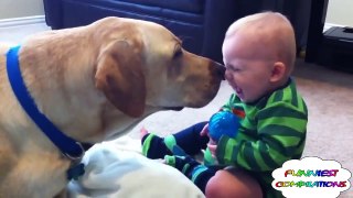 Animals and Babies are Best Friends! - Cute-Funny Compilation - [August 2014]