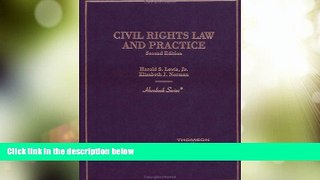 Big Deals  Civil Rights Law and Practice (Hornbook)  Full Read Best Seller
