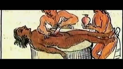 Кровь. Что мы знаем про кровь. Документальный фильм